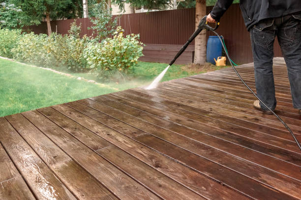 Best Soft Washing  in Jacinto City, TX