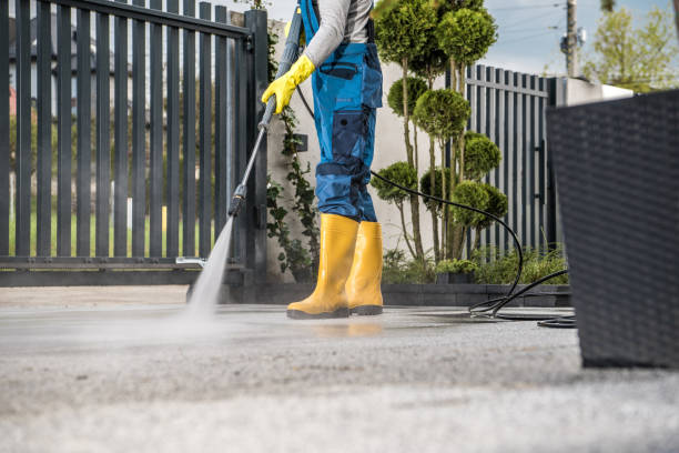 Animal Enclosure Cleaning in Jacinto City, TX