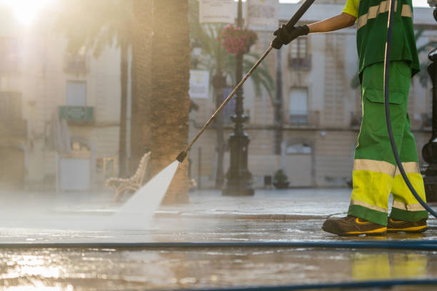 Best Solar Panel Cleaning  in Jacinto City, TX